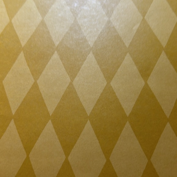 CTMH scrapbook paper - Picture 14 of 14